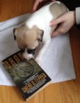 Tepper the puppy recommends that you read Grass. Clearly this puppy is wise beyond her weeks.