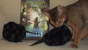 The Forbidden Library has received the kitten stamp of approval from Shackleton.