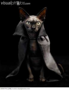 This is an accurate representation of my loan holder. “More money,” it hisses. “Give me MORE money.”