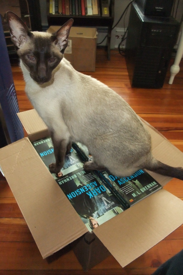 Oh, you thought these were YOUR author copies? No, no, no, how embarrassing. These are MY author copies. I have claimed them in the name of SASHA THE CAT.